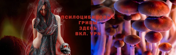 гашик Алексеевка