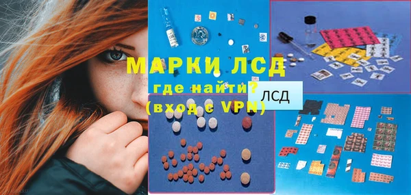 PSILOCYBIN Алзамай