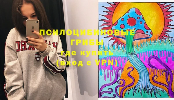 гашик Алексеевка