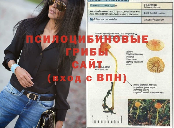 гидропоника Абинск