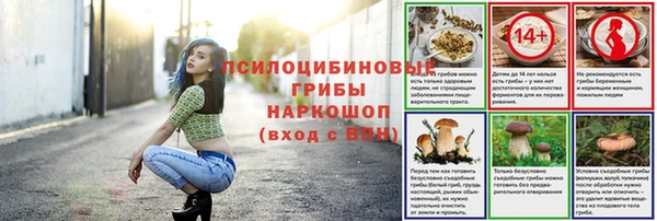 гидропоника Абинск