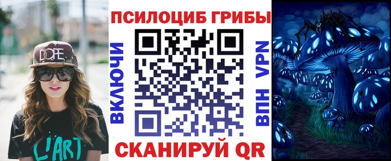 продажа наркотиков  Циолковский  Галлюциногенные грибы ЛСД 